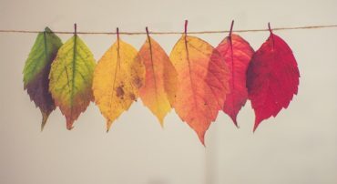 IRA Reform on Horizon – SECURE Act of 2019