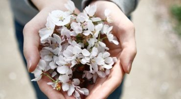 How to Inherit an IRA When a Trust is the Beneficiary