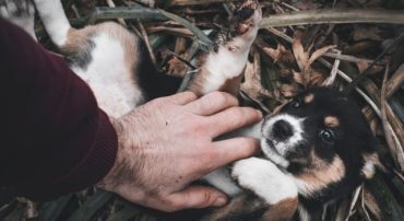 The Full Complexity of All Required Minimum Distribution Divisors Explained