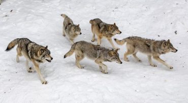 Avoid Dave Ramsey’s Referral Services