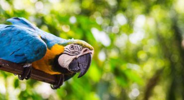 Value Investing During Seasons of Growth