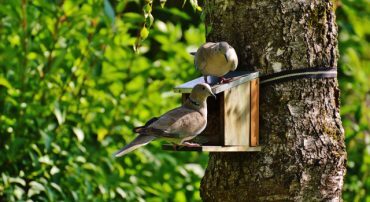 The Cost of Keeping Some Money Safe