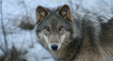 Avoid the Christian Financial Planners Directory