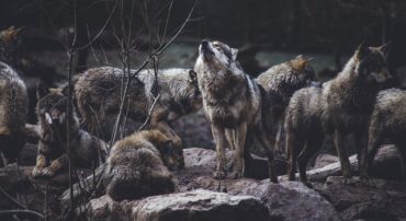 Six Ways Regulation Best Interest Falls Short of a Fiduciary Standard