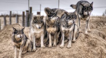 Many Websites Are Merely Side Hustles