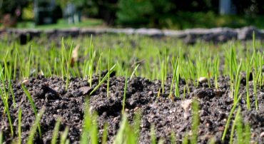 The Uncommon Average of Investment Returns