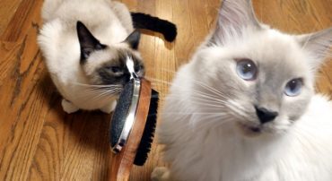 How to Spend: Wait a Week