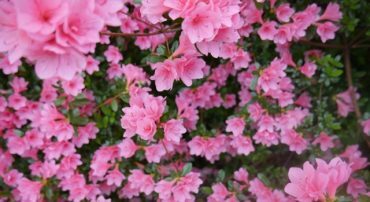 How To Spend: Learn To Do Without