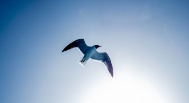 What To Expect Now That The S&P 500 Reached 3,200