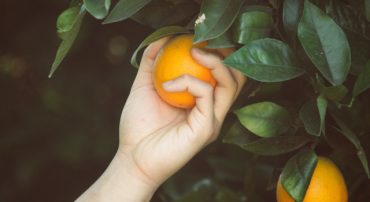 #TBT Harvest Major Capital Losses Whenever You Have Them