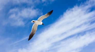 Longest Economic Expansion In United States History