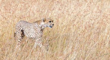 Avoid UBS Group As Your Financial Advisor