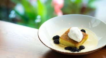 Q&A: Can I Do a Backdoor Roth and a Reverse Rollover to a 401(k) In the Same Year?