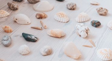 An Overview of Marotta’s 2020 Gone-Fishing Portfolios