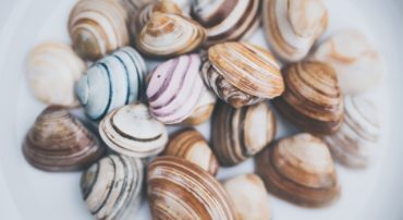 Marotta’s 2020 Gone-Fishing Portfolio Calculator