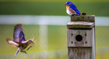 Q&A: Should I Pull Out of the Stock Market Now?