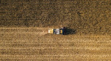 ‘You Make Most Of Your Money In A Bear Market; You Just Don’t Realize It At The Time’