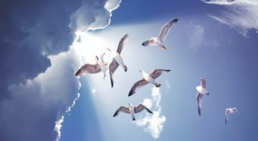 When Will The Markets Stop Dropping in 2020?