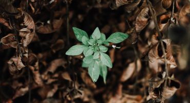 The Lower The Market Falls The More Important It Is To Stay Invested