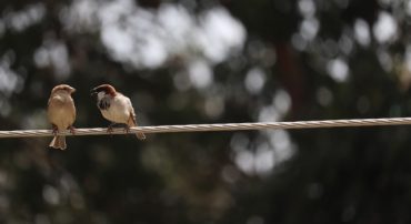 Energy Stocks Have Been Disappointing Recently (April 2020)