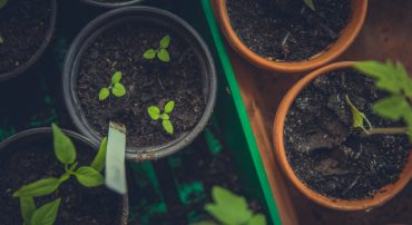 This May 2020, Our Dynamic Tilt Tilted Away from Energy