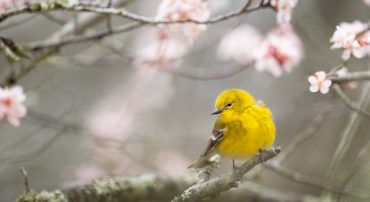 Did Gold Do Better Than The Markets? (2020)