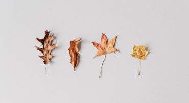 How to Change Your IRA Beneficiary Designations After the SECURE Act