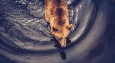 Radio: The Markets in June 2020