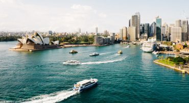 Risk-Return Analysis of Freedom Investing