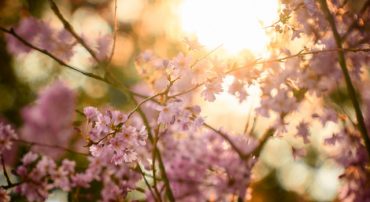 Before the Estate Tax Exclusion Sunsets in 2026