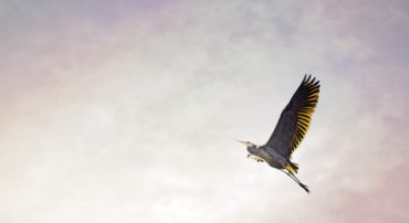 Stay Invested After Volatile Quarters