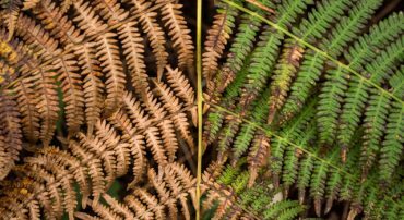 Impact Investing Could Do the Opposite of Its Intentions