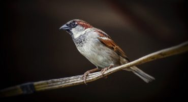 This Month, We Removed the Energy Overweight from Our Allocations (October 2020)