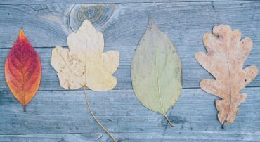 Q&A: Should I Name My Heirs or My Trust as Contingent Beneficiaries After The SECURE Act?