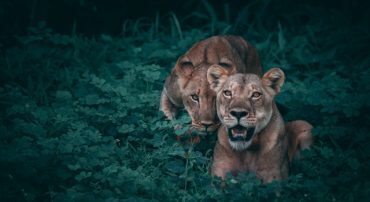 SEC Still Allows ‘Advisor’ Confusion