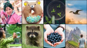 Q&A: Why Do You Pick Such Weird Images for Your Articles?