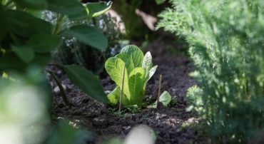 We Added a Sector Tilt to our Foreign Dynamic Tilt (November 2020)