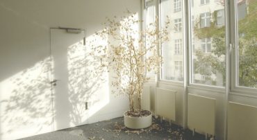 Raising the Minimum Wage Hurts The Most Disadvantaged