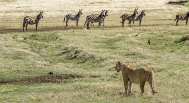 Troubles With 401(k) Plans Run By Salespeople