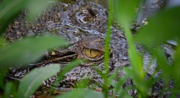 Case Study: Anthony Diaz Hid Within FINRA for 15 Years