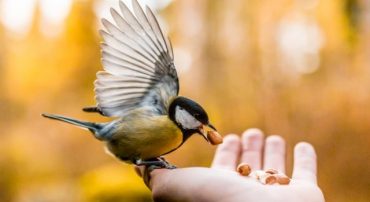 How to See Completed Trades on Schwab.com