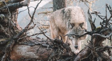 Some Financial Planners Are Not Like The Others