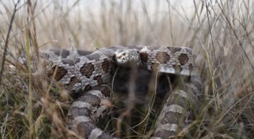 Don’t Pay The Price of Structured Products Despite Principal Protection