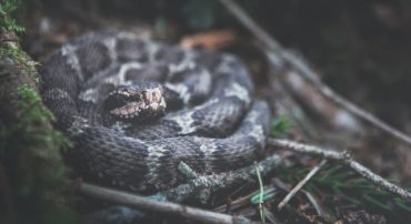 Purchasing an Annuity was My 42-Year Financial Mistake