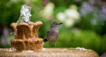 Design Your 2022 Savings Waterfall (Podcast)