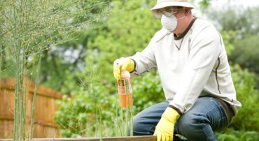 Even The Premium is Risky in Long-Term Care Insurance