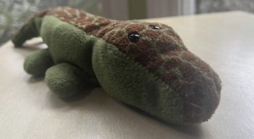 Bitcoin, Tulips, Beanie Babies, and Speculation