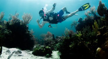 Marotta’s 2022 Vanguard Gone-Fishing Portfolio Calculator