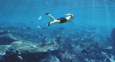 Marotta’s 2022 Gone-Fishing Portfolio Calculator