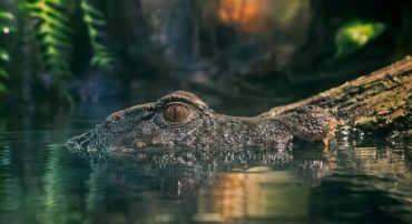 Seven Reasons to Avoid Bitcoin